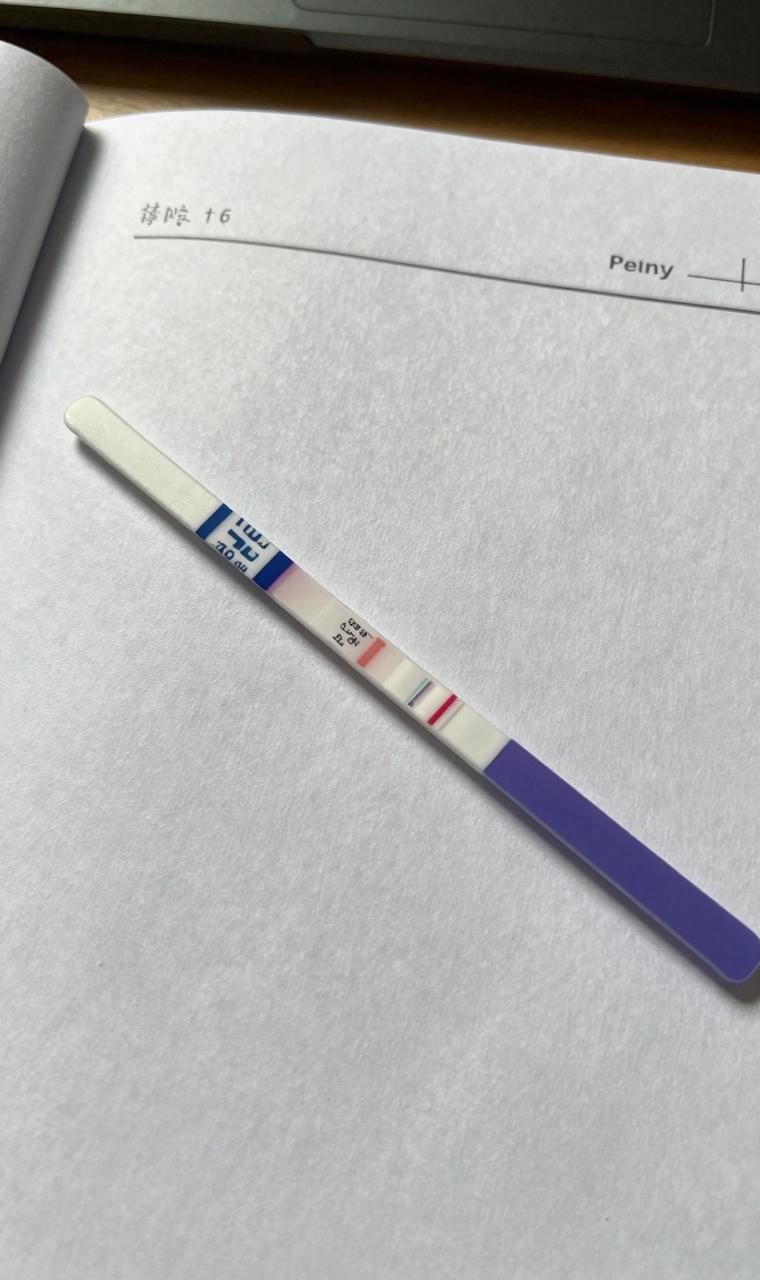 排卵试纸上密密麻麻的日期攒了四年半 - 康顺宁陪诊
